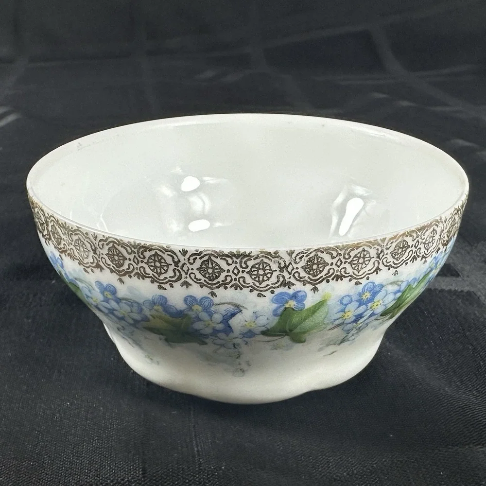 Forget-Me-Not Tea cup Saucer Translucent Fine Porcelain Gold‎ Filigree Ivy ANTQ